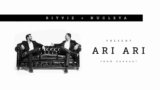 Ari Ari Lyrics – Ritviz x Nucleya |  Baaraat | Hindi song