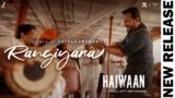 Rangiyara Lyrics – Shaan x Sukhwinder Singh | Haiwaan